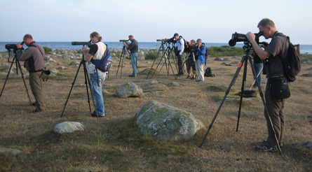 Vadarstudier p&aring; Kr&aring;kenabben. FOto: Mats Olsson
